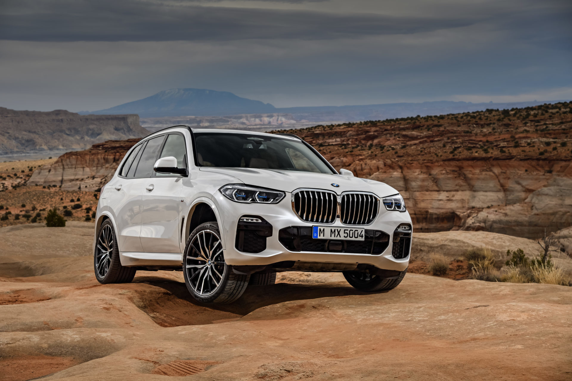 New BMW X5